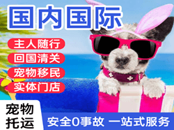 固原六盘山机场快运国际宠物托运 【国